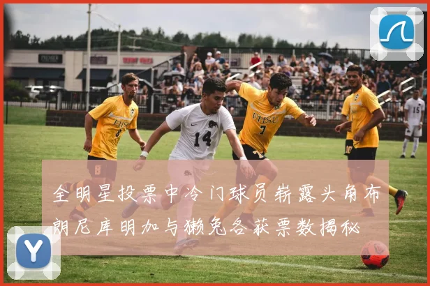 全明星投票中冷门球员崭露头角布朗尼库明加与獭兔各获票数揭秘