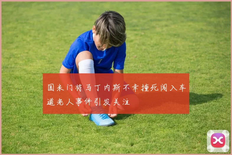 国米门将马丁内斯不幸撞死闯入车道老人事件引发关注