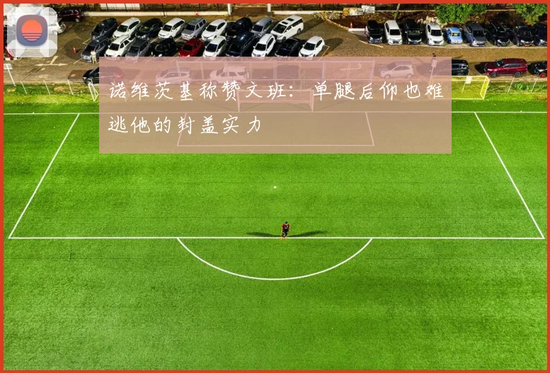 诺维茨基称赞文班：单腿后仰也难逃他的封盖实力