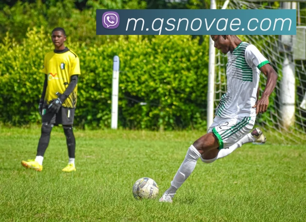 球速平台生态图